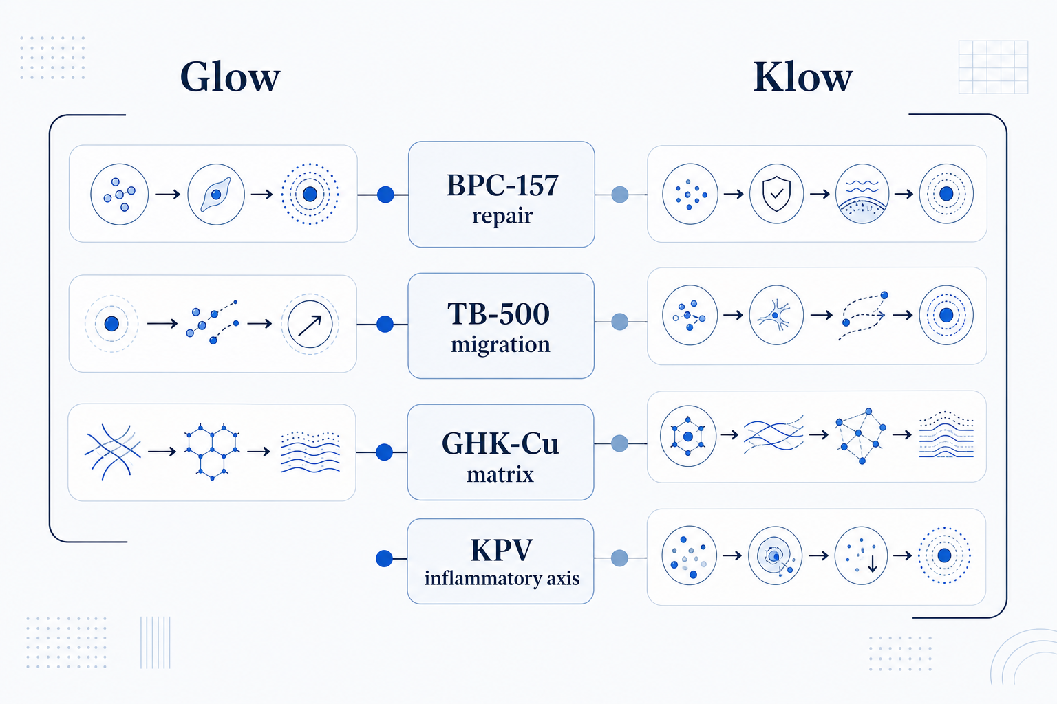 Mechanism infographic