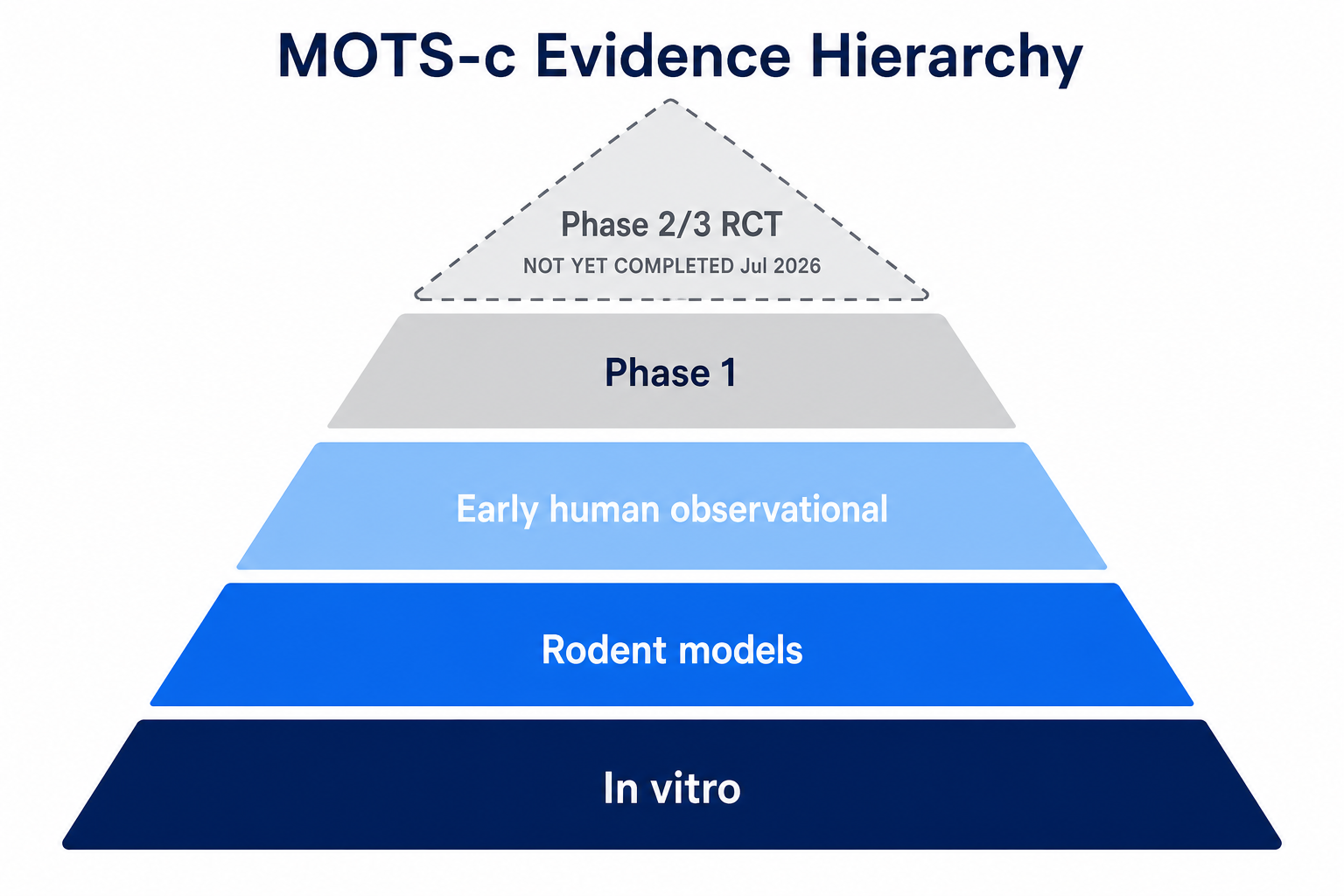 Evidence pyramid showing MOTS-c research maturity with Phase 2/3 RCT tier not yet completed.