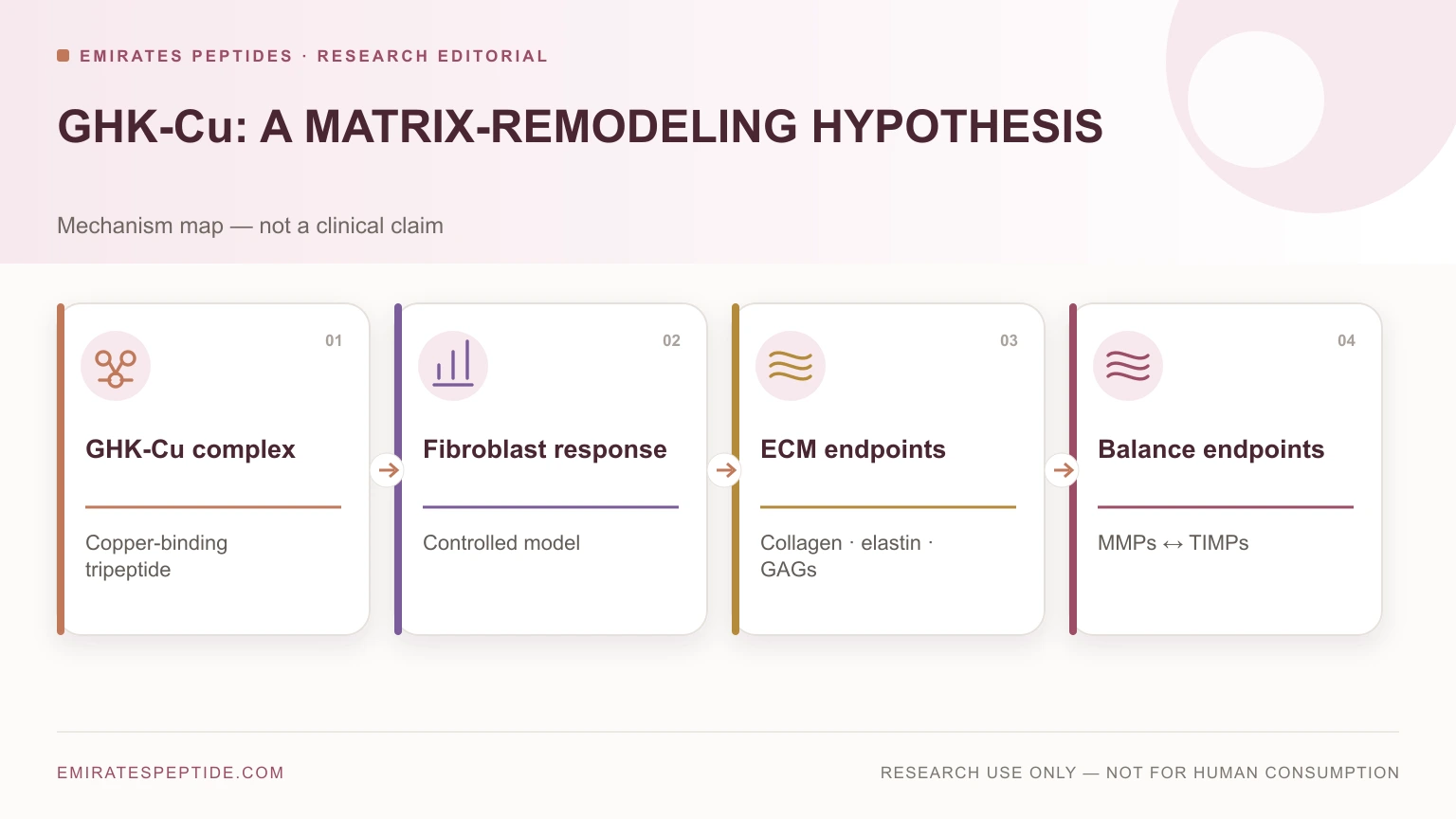 GHK-Cu matrix remodelling map covering fibroblasts, extracellular matrix and MMP-TIMP balance