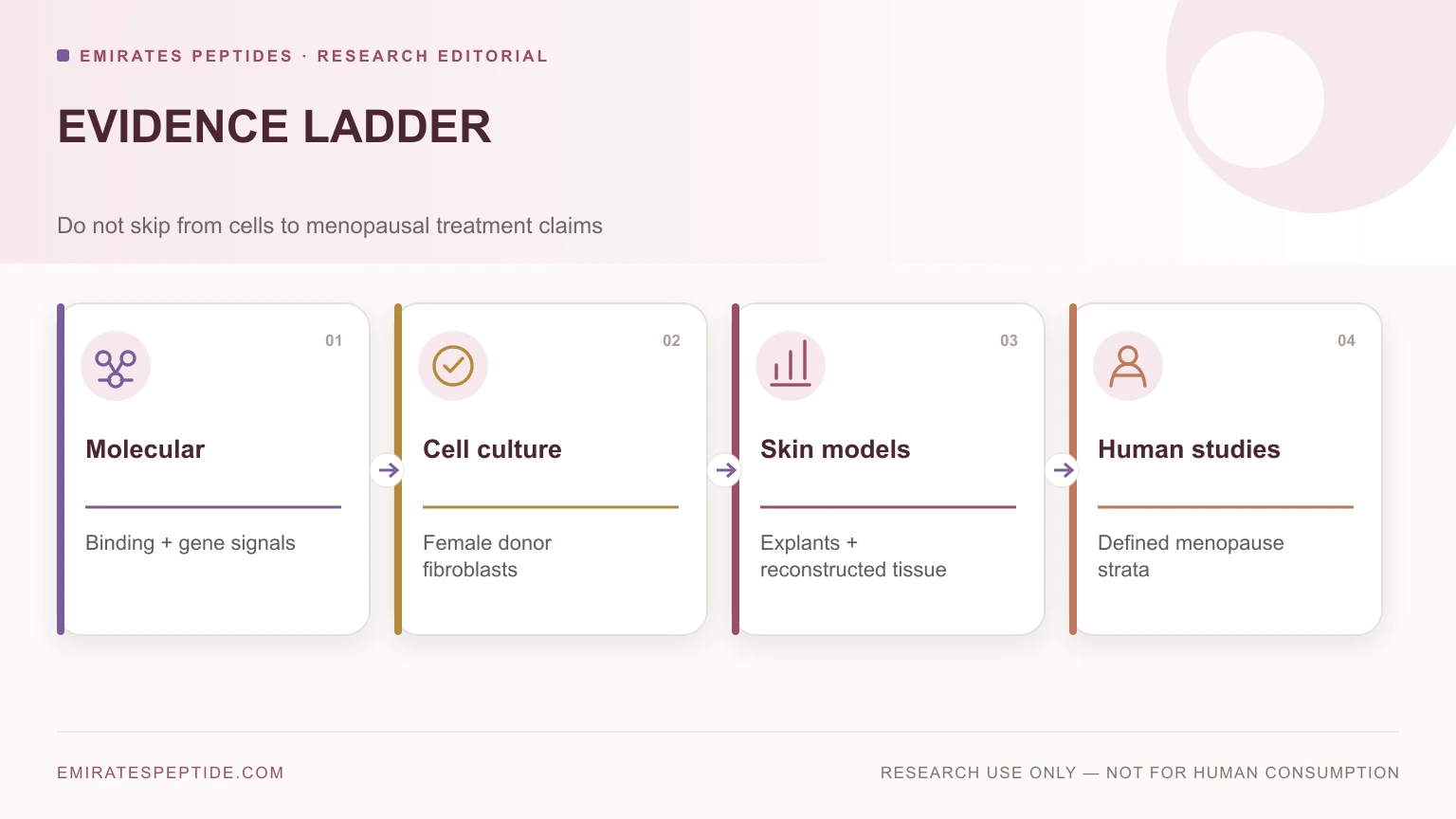 Evidence ladder from molecular work to menopause-stratified human studies
