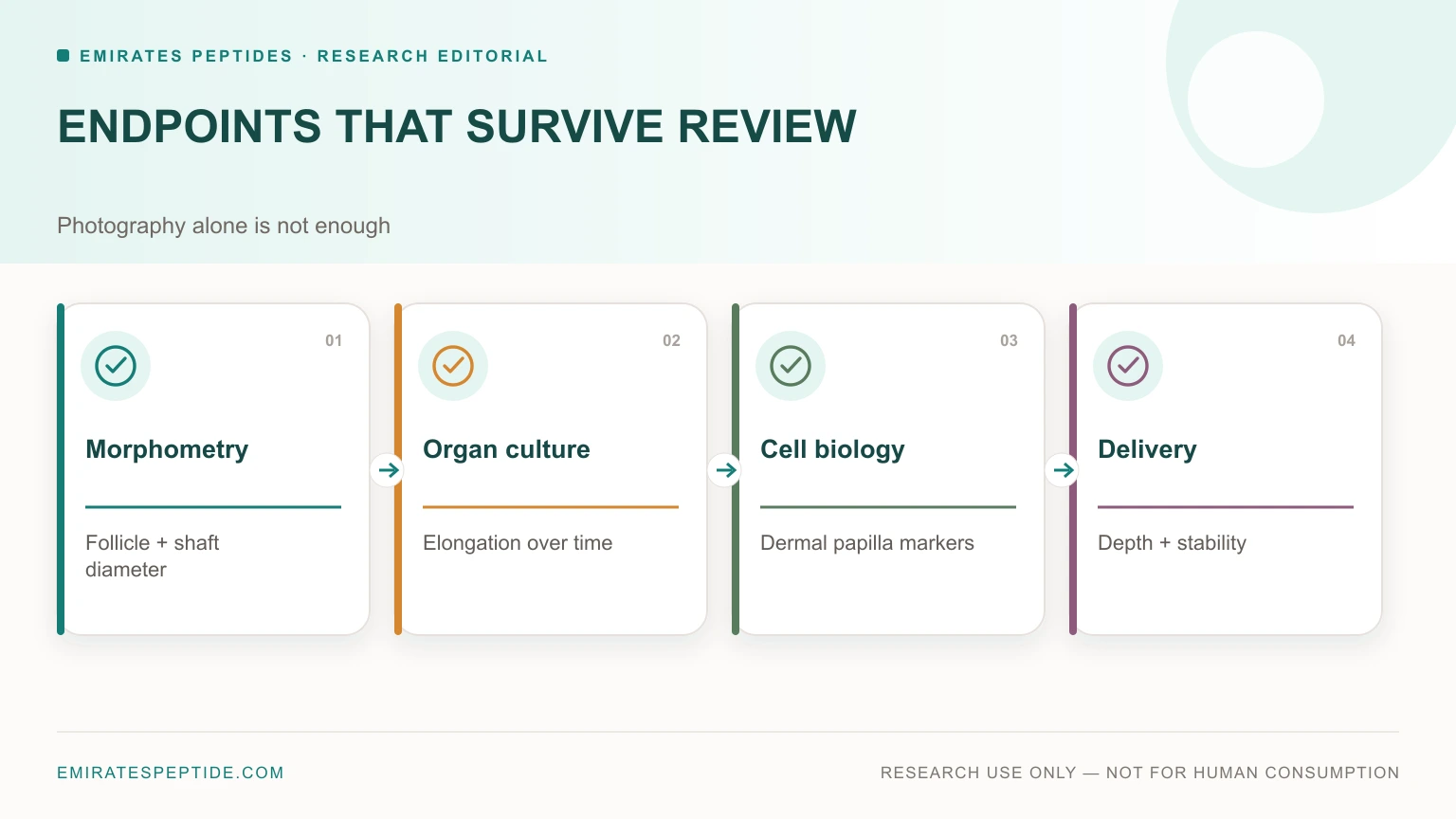 Follicle morphometry, organ culture, cell biology and delivery endpoints