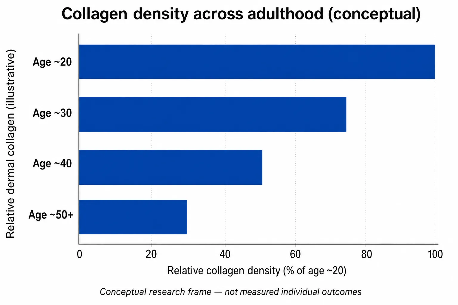 Conceptual collagen density across adulthood chart