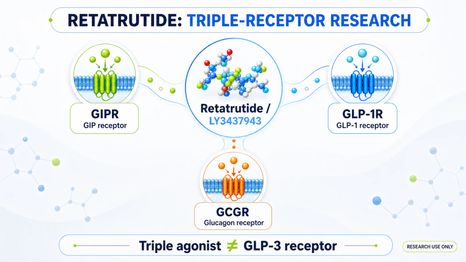 Diagram of retatrutide as a triple agonist acting at GIPR, GLP-1R and GCGR, not a GLP-3 receptor.